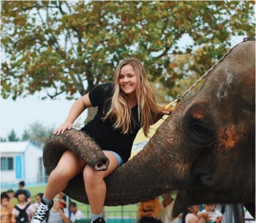 elephant-2.jpg elephant-2.jpg