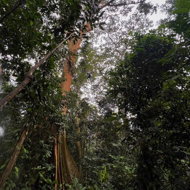 ILP Uganda
