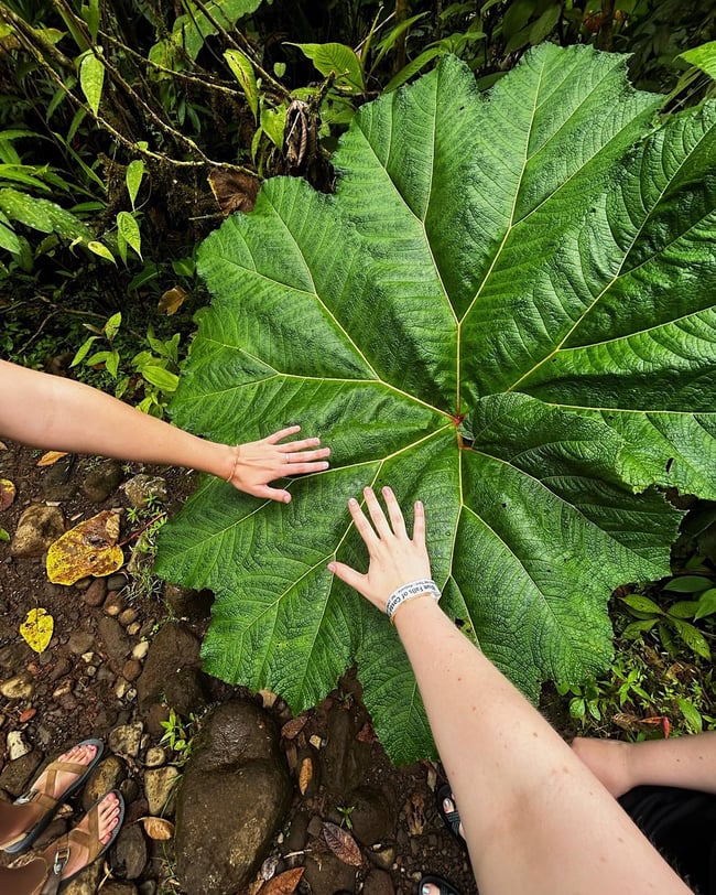 ILP Adventure in Costa Rica
