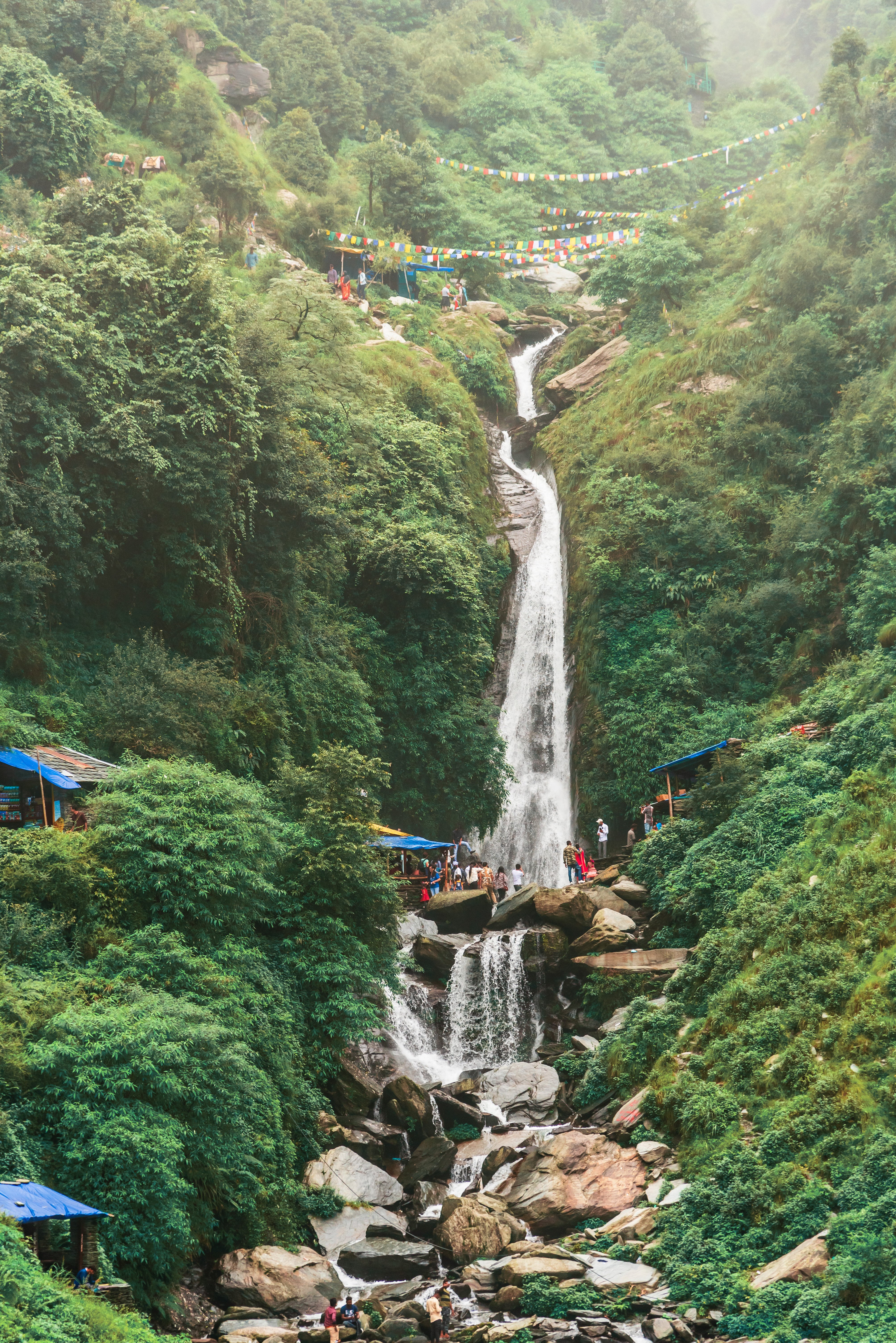 Bhagsu Nag waterfall and green forest around at Mcleodganj AdobeStock_394304930