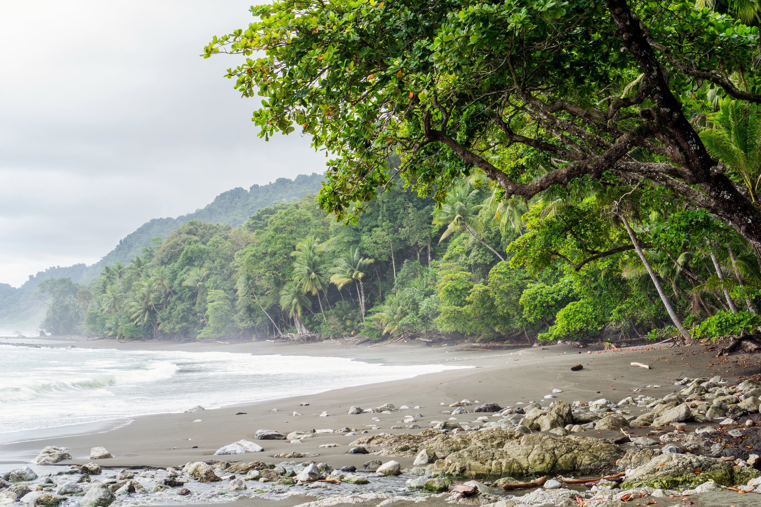 All About Hiking + Snorkeling In Costa Rica's Corcovado National Park