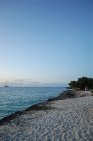 Eagle Beach Aruba