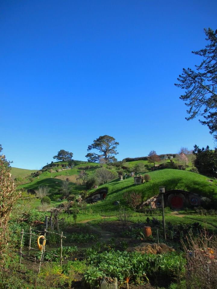 Hobbiton Tour in Auckland