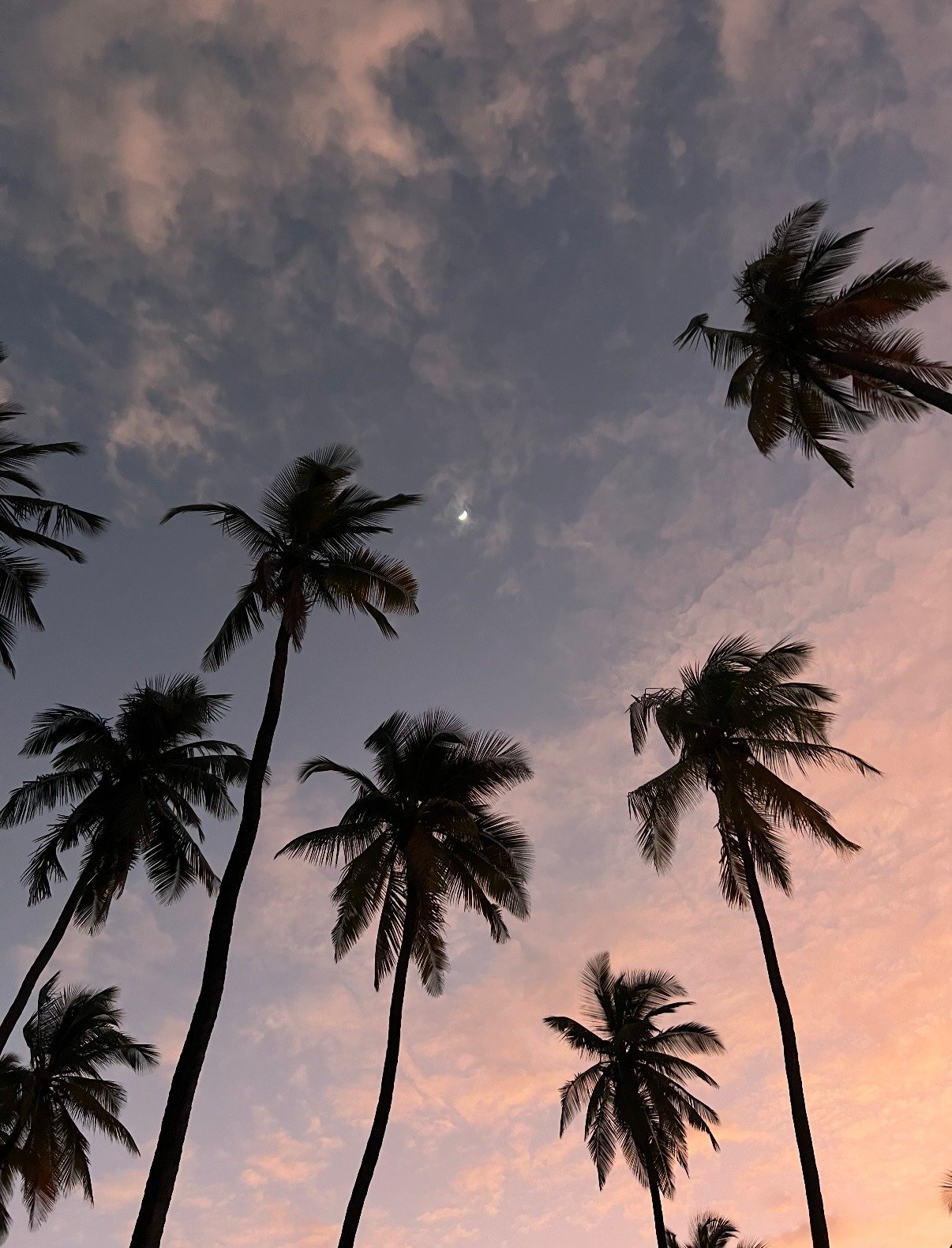 Zanzibar sunset