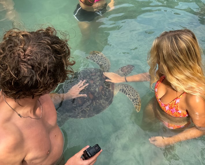 Swimming with turtles in Zanzibar