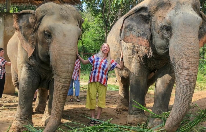 ILP Volunteers in Thailand