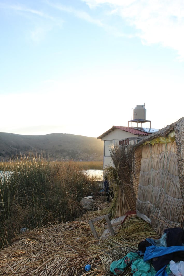 Uros, Puno reeds