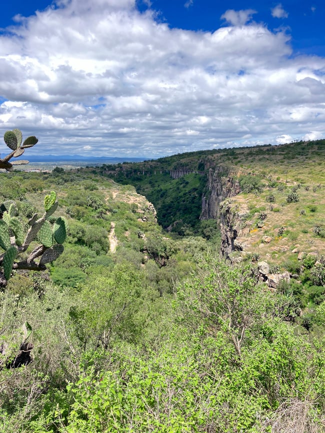 San Miguel botanical garden view