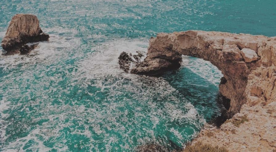 Screen Shot 2019-07-29 at 2.28.10 PM
