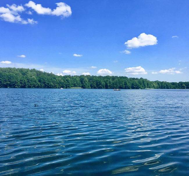 Teach kids English in Lithuania