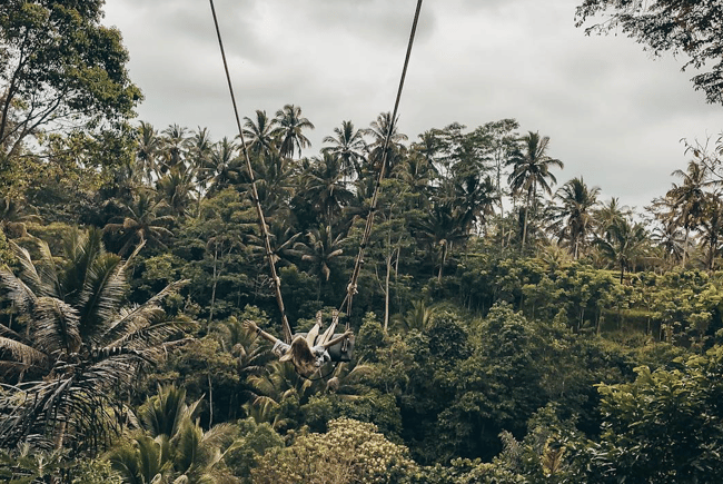 Bali Swing with ILP Volunteers 