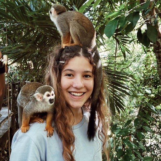 Play With Monkeys + Zip Line In This Dominican Jungle Park
