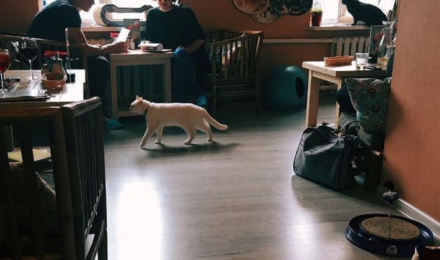 cafes in Lithuania