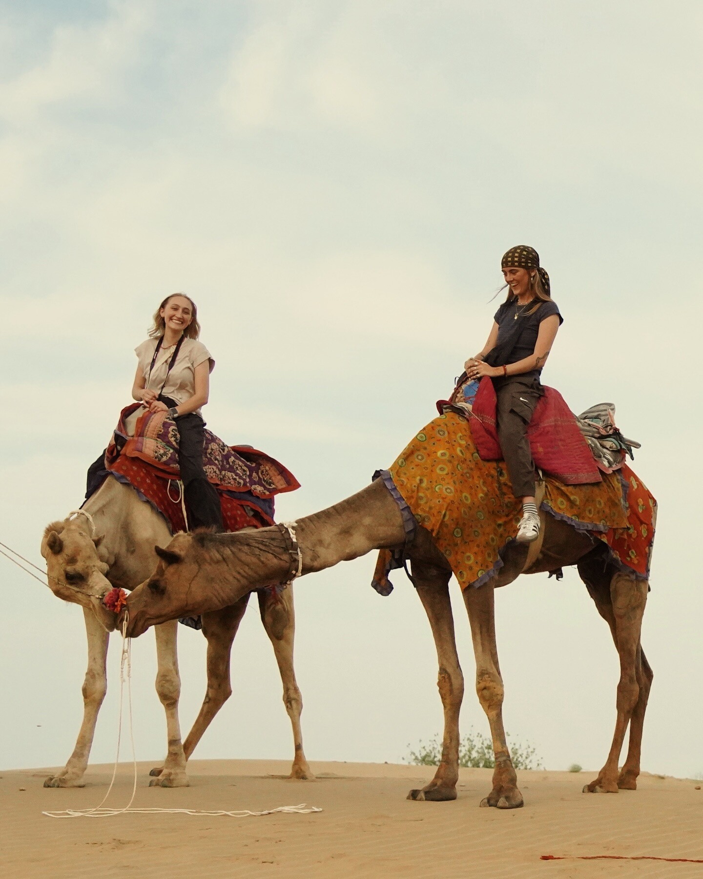travel abroad programs